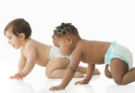 Babies crawling in front of a white background 